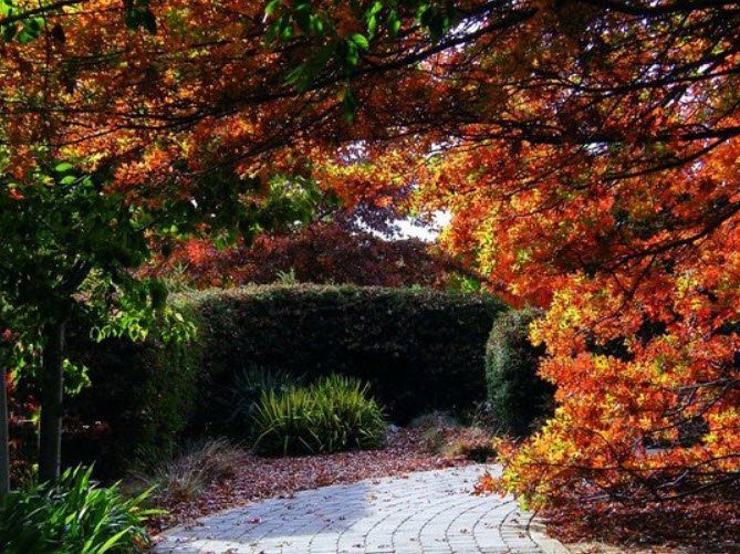 Orange Botanic Gardens, Australia